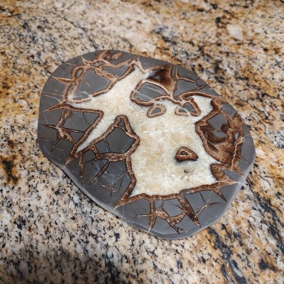 Vintage SEPTARIAN Nodule Slab Mineral With a Lightning Like Pattern - Picture 2 of 7